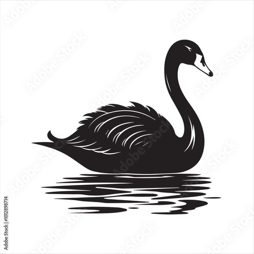 black swan on white,swan, bird, animal, vector, illustration, water, silhouette, symbol, love, lake, nature, art, duck, birds, cartoon, drawing, feather, black, beak, icon, design, wing, swimming, swa