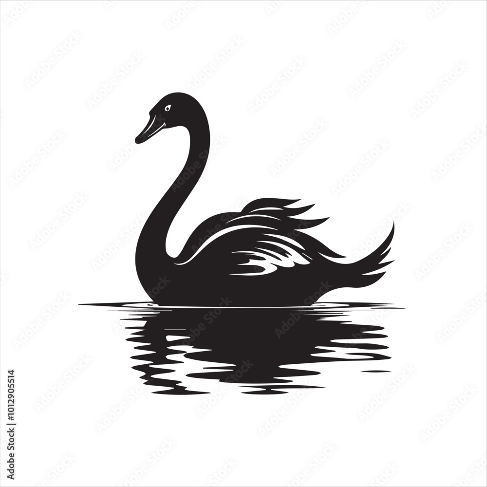 black swan on white background black swan on white background