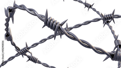 barbed wire fence
