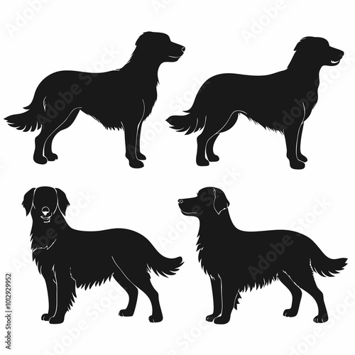 Hand-drawn golden retriever dog silhouette set illustration on white background