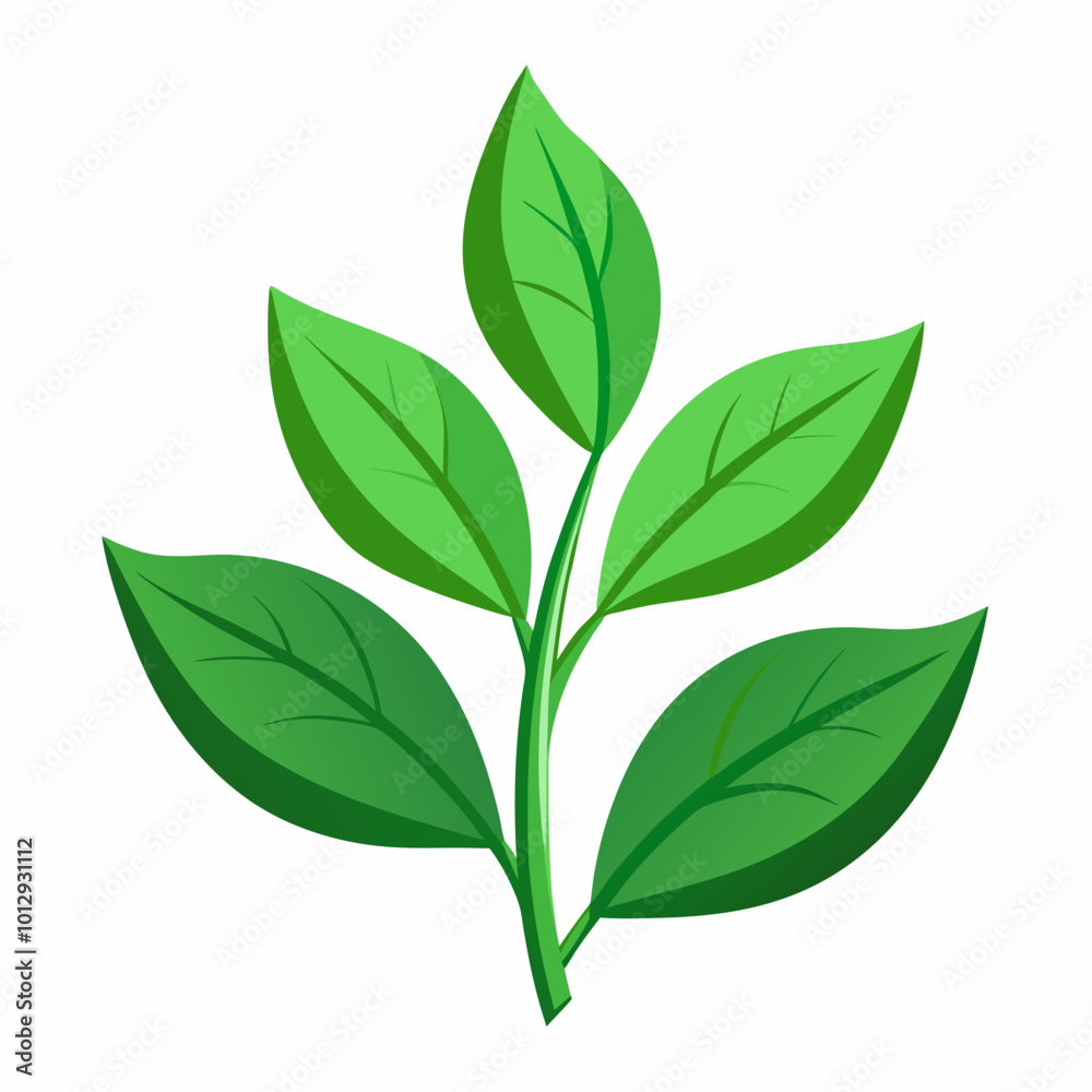 green tea leaves isolated on white background green tea leaves isolated on white background
