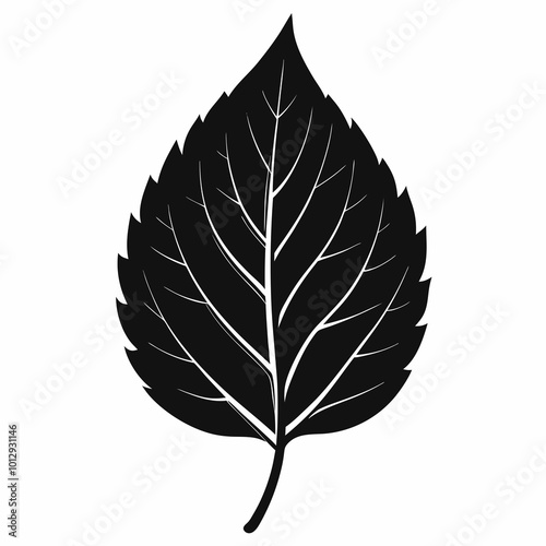 leaf silhouette vector on white background