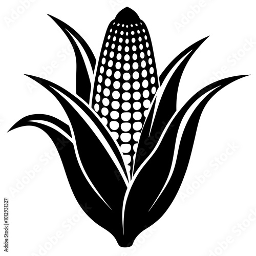 corn on the cob silhouette on white background