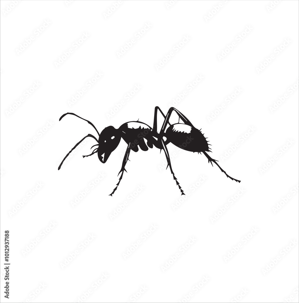 ant, insect, macro, nature, animal, bug, black, closeup, ants, isolated, small, antenna, spider, leaf, formica, leg, white, close-up, close up, jaw, garden, red, fauna ant, insect, macro, nature, animal, bug, black, closeup, ants, isolated, small, antenna, spider, leaf, formica, leg, white, close-up, close up, jaw, garden, red, fauna