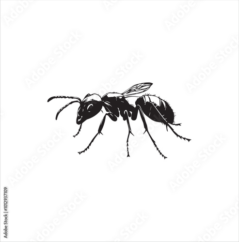 ant, insect, macro, nature, animal, bug, black, closeup, ants, isolated, small, antenna, spider, leaf, formica, leg, white, close-up, close up, jaw, garden, red, fauna