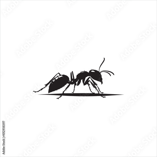 ant, insect, macro, nature, animal, bug, black, closeup, ants, isolated, small, antenna, spider, leaf, formica, leg, white, close-up, close up, jaw, garden, red, fauna