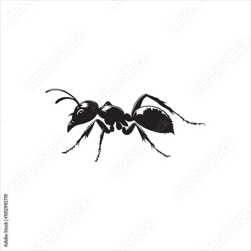 ant isolated on white background