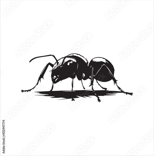 ant isolated on white background