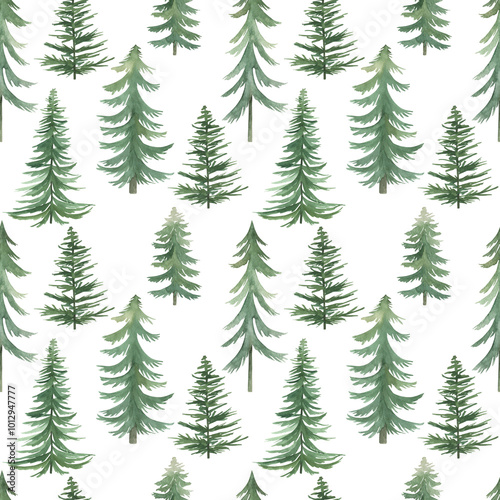 Christmas watercolor pattern with spruce, fir-trees. Winter nature seamless print. Hand drawn illustration on white background