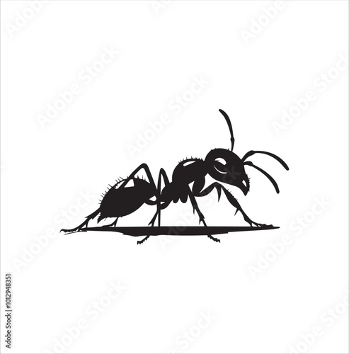 ant isolated on white background