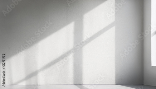 Minimalist white empty room with shadow light from window on concrete wall texture background