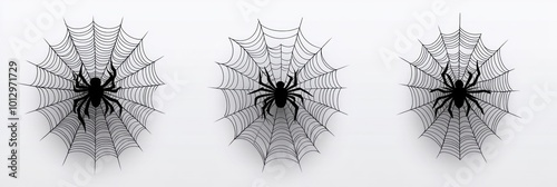 Spider Webs Illustration