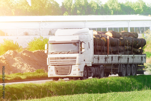 Canvas Print White truck transporting timber on highway