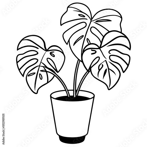 potted plant monstera outline coloring book page line art drawing
