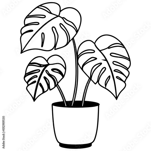 potted plant monstera outline coloring book page line art drawing