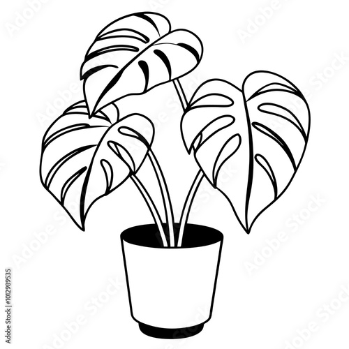 potted plant monstera outline coloring book page line art drawing