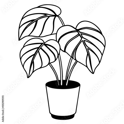 potted plant monstera outline coloring book page line art drawing