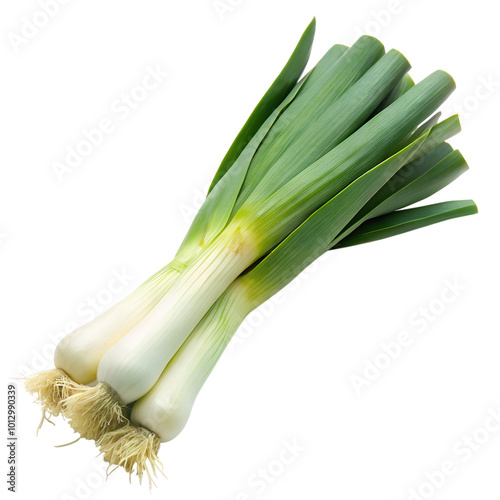 Leek isolated on a transparent background