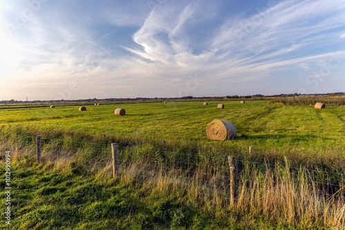 Obraz na płótnie
Beautiful landscape photo shot on the island of Sylt w salonie