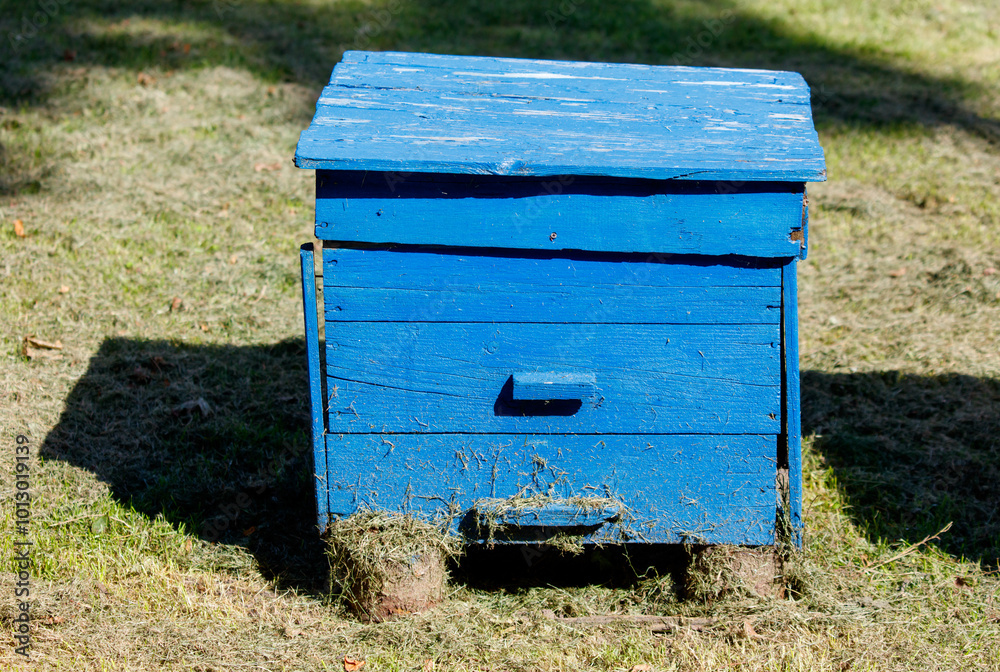 A blue wooden box with a lid sits on the grass A blue wooden box with a lid sits on the grass