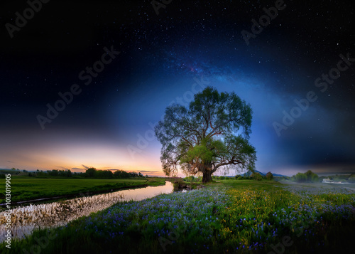 Baum mit Nachthimmel