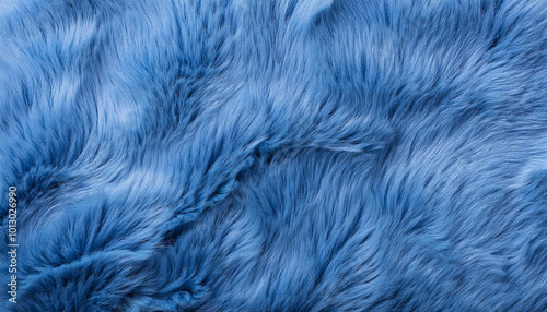 Blue fur texture top view. Blue sheepskin background