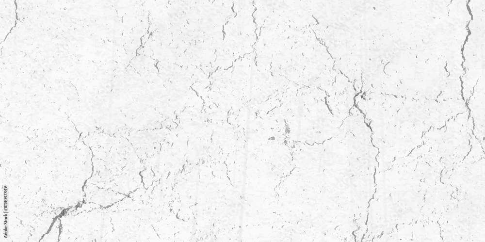 Abstract white and black texture of a grunge concrete dust wall with cracks and scratches background. distressed grunge concrete wall texture. abstract vintage of old surface texture background. Abstract white and black texture of a grunge concrete dust wall with cracks and scratches background. distressed grunge concrete wall texture. abstract vintage of old surface texture background.