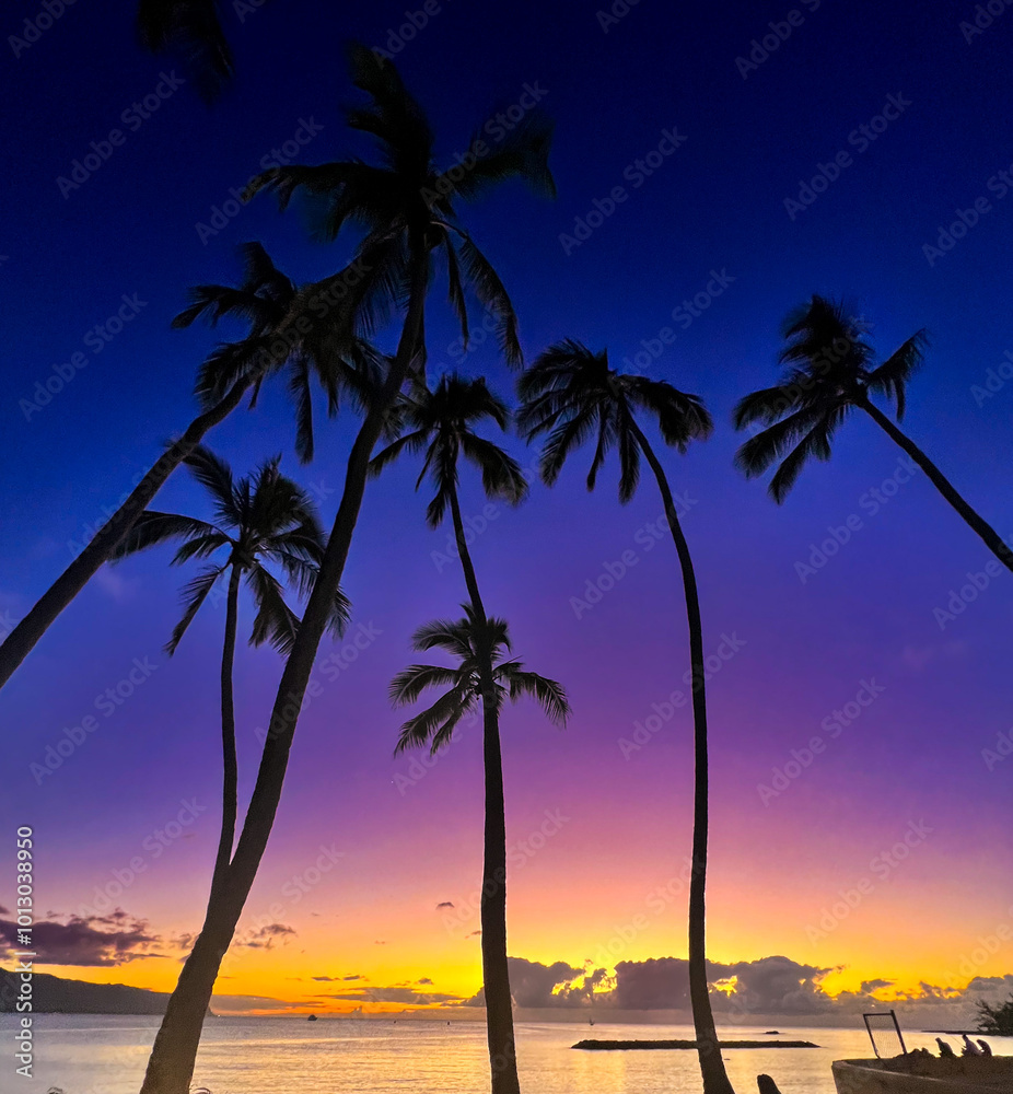 Obraz premium hawaii tropical palm tree ocean sunset 