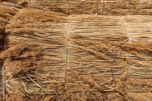 bundles of reeds for background use photo