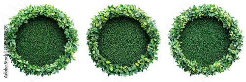 collection Set of  top-down view of a complete boxwood hedge in the shape of a circle, isolated on a transparent background cutout, PNG file 