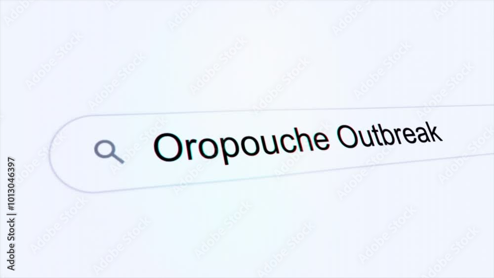 Oropouche Outbreak typing on internet search bar computer screen Oropouche Outbreak typing on internet search bar computer screen