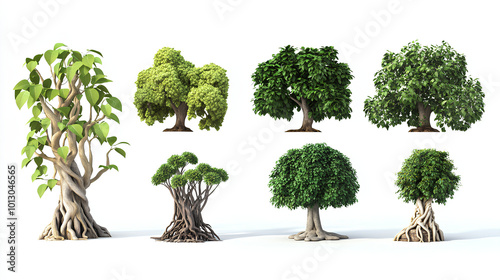 tree  objects collection, in cartoon style minimal 