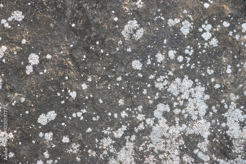 Photos Gray brown grunge Abstract stone background texture of the stone wall Close-up,