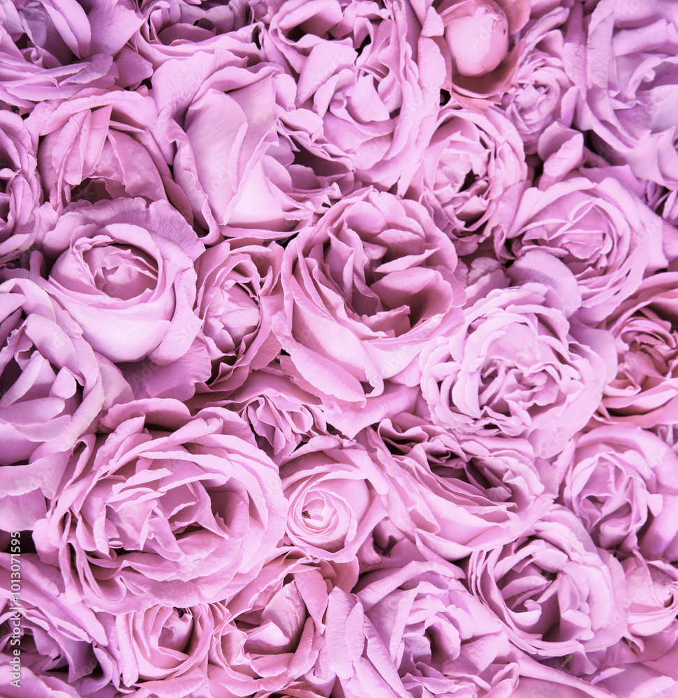 Natural background of rose petals Natural background of rose petals