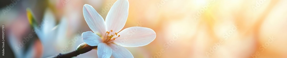 Obraz premium Bright Blooming Flowers in a Spring Garden
