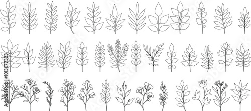 Floral leaf line art, hand drawn botanical leaves, minimalist plants, elegant nature designs. Perfect for nature theme projects, crafts, and print. Vector style leaf illustrations in various shapes