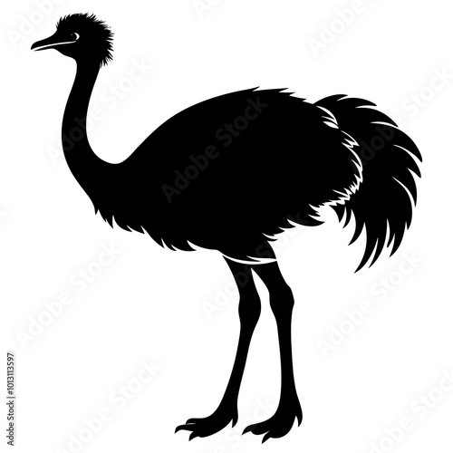ostrich illustration
