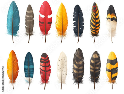 Feather Set, Different Types of Feathers, Vector Illustration, Isolated on White Background

