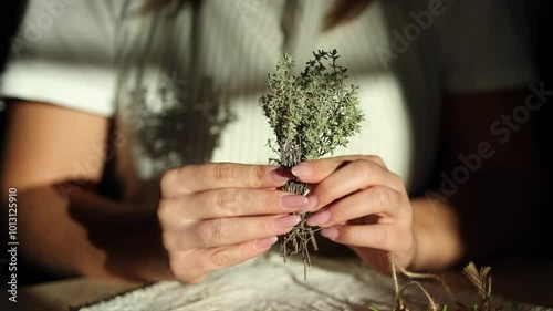 Front view of a woman twirling thyme sprigs in her hands. Close-up of fresh herbs. Woman wearing an apron