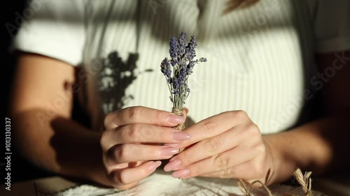 Front view of a woman twirling lavender sprigs in her hands. Close-up of fresh herbs. Woman wearing an apron