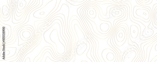 Modern Topographic Vector Design with Wavy Geometric Contours and Terrain Relief for Luxury Landscapes 