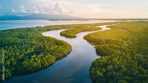 A serene landscape of mangrove forests in Satun, teeming with wildlife and providing a glimpse of the region's biodiversity.