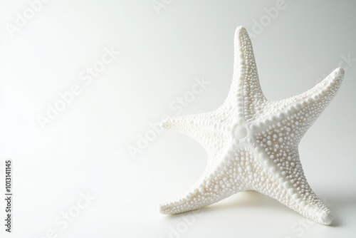 the beside view Starfish, left side view, white copy space on right, Isolated on White Background