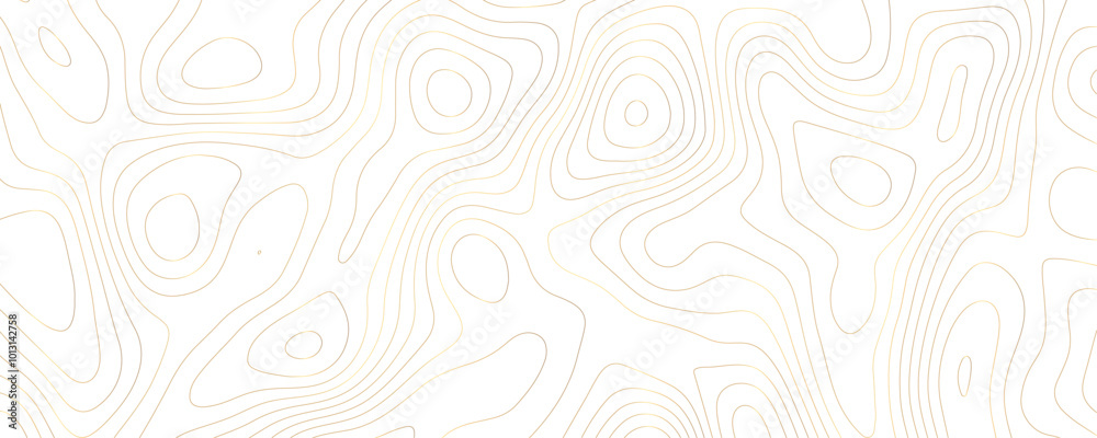 Elegant Topographic Map Design with Golden Geometric Contour Lines and Terrain Patterns for a Luxury Banner
Elegant Topographic Map Design with Golden Geometric Contour Lines and Terrain Patterns for a Luxury Banner