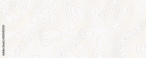 Golden Topographic Background with Geometric Contour Patterns and Textured Relief for a Luxurious Map Design 