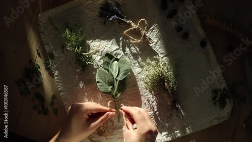 Top view of human hands tying twine around sage sprigs. Linen tablecloth on a wooden table with various herbs. Autumn atmosphere
