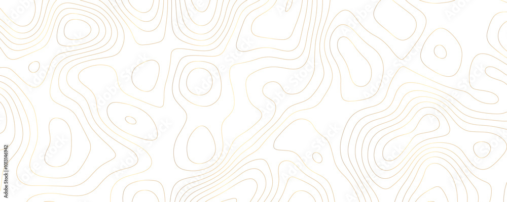 Gold and Black Topography-Inspired Background with Textured Contour Patterns for a Luxury Graphic Banner
