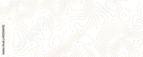 Gold and Black Topography-Inspired Background with Textured Contour Patterns for a Luxury Graphic Banner 