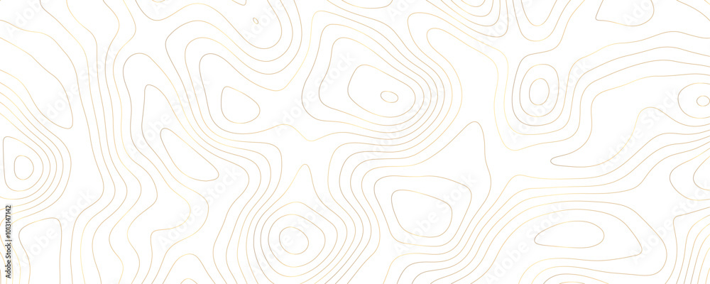 Topographic Map Illustration with Geometric Line Art and Mountain Terrain for a Modern Landscape Design
