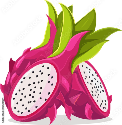 Tropical dragonfruit icon flat on white isolated background, vector design.